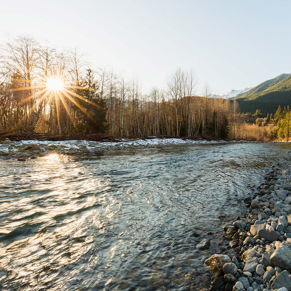 Forks Avenue Real Estate Homes for Sale & Rent in Forks WA